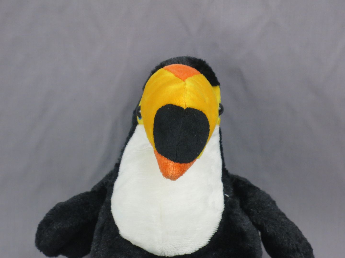 webkinz toco toucan